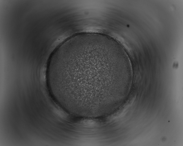 X0000102830299200809021320