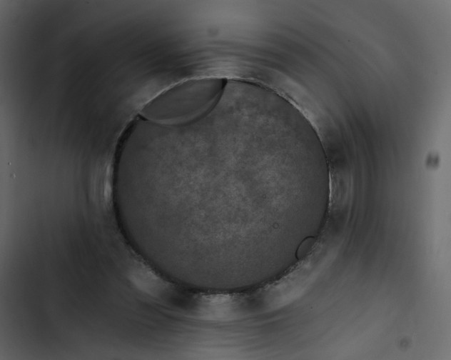 X0000102830301200809021320