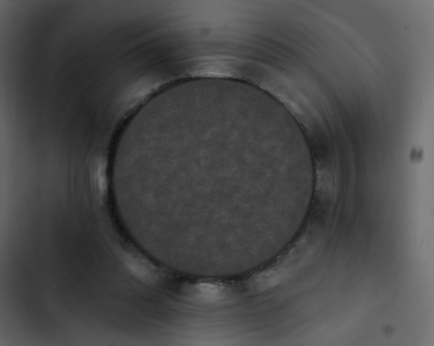 X0000102830302200809021320