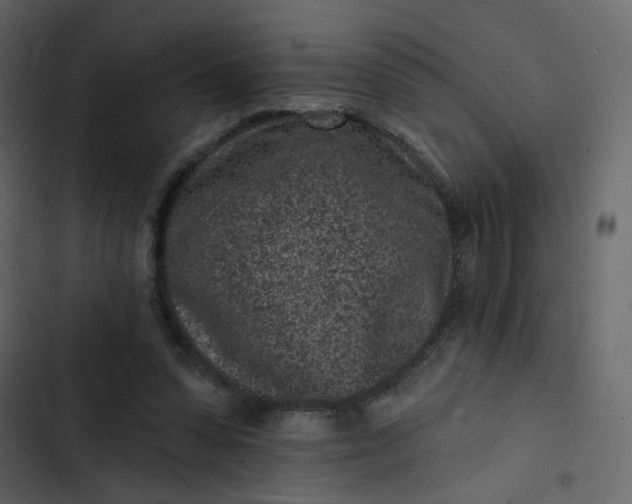 X0000102830303200809021320