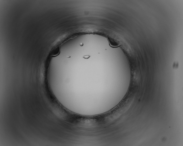 X0000102830304200809021320