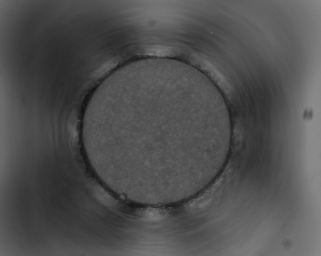 X0000102830305200809021320