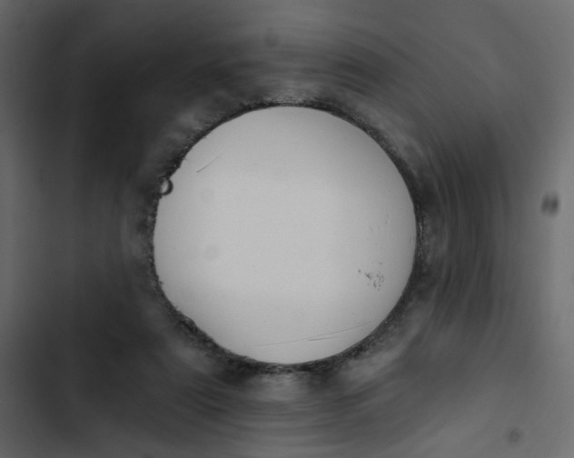 X0000102830307200809021320