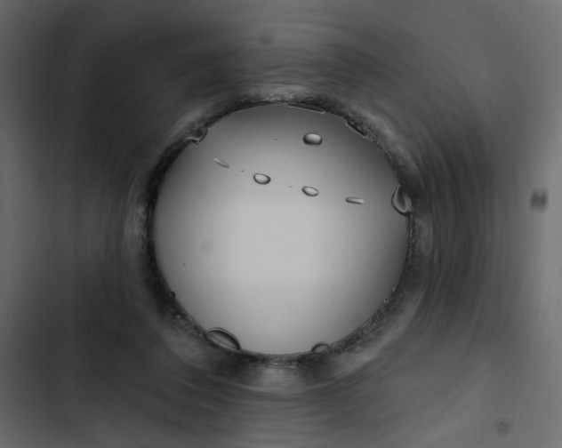 X0000102830308200809021320