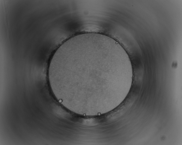 X0000102830309200809021320