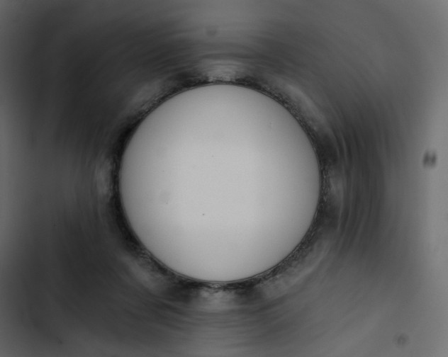 X0000102830311200809021319