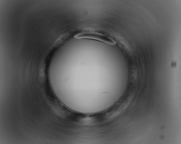 X0000102830312200809021319