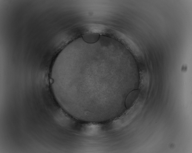 X0000102830313200809021319