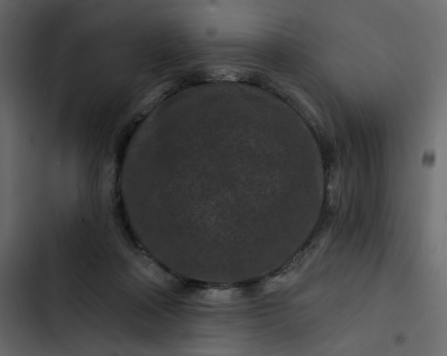 X0000102830314200809021319