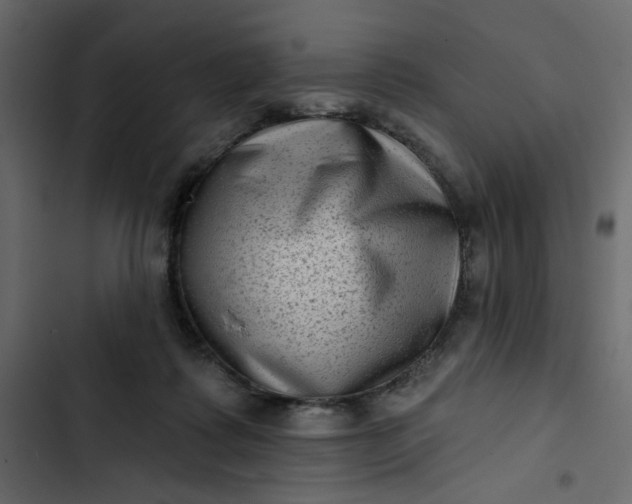 X0000102830315200809021319