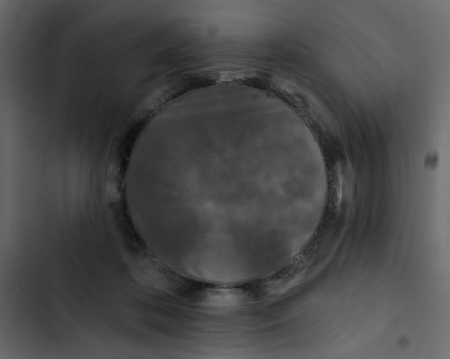 X0000102830316200809021319