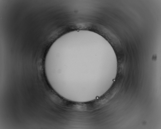 X0000102830317200809021319