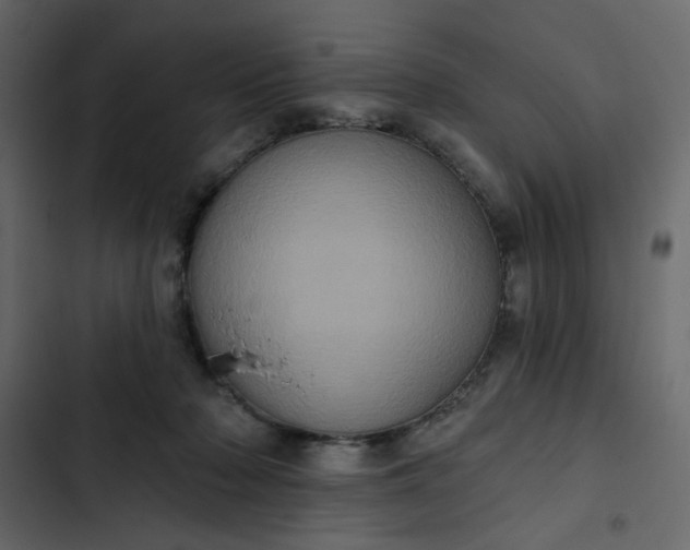 X0000102830318200809021319