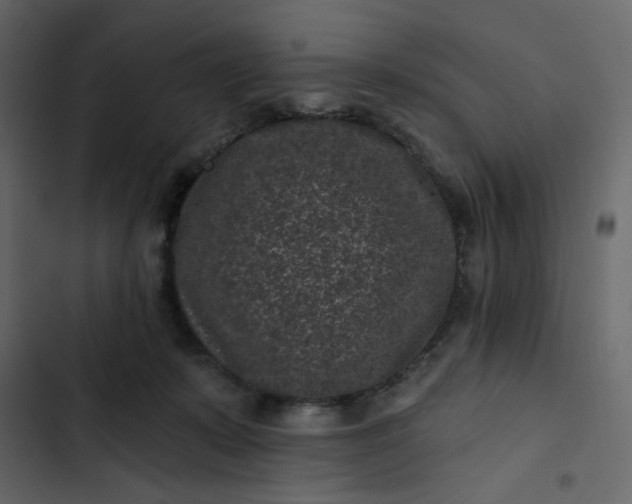 X0000102830319200809021319