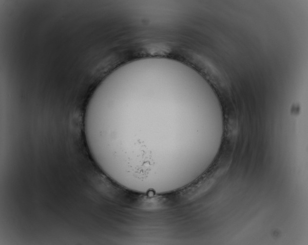 X0000102830321200809021319