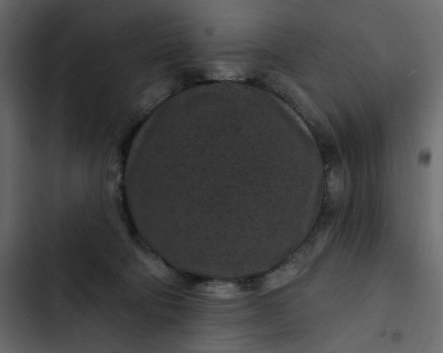 X0000102830322200809021319