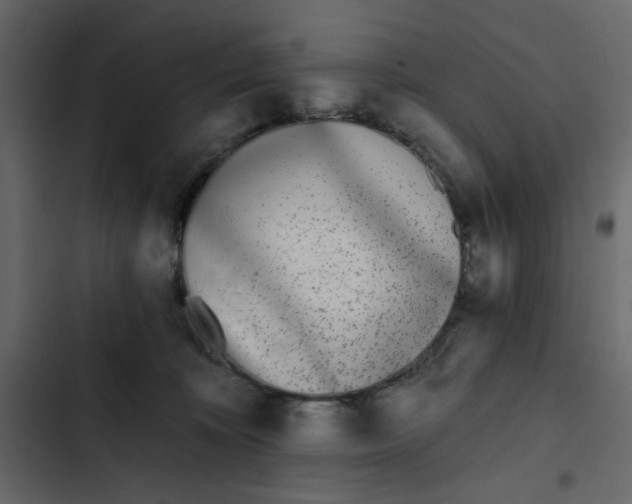 X0000102830324200809021319