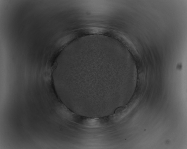 X0000102830325200809021319