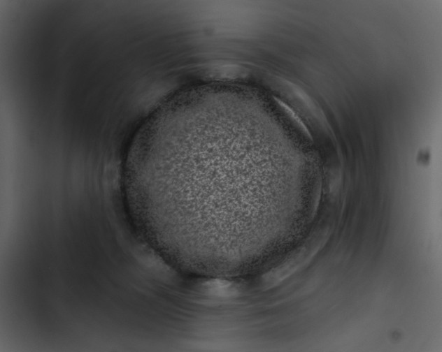 X0000102830326200809021319