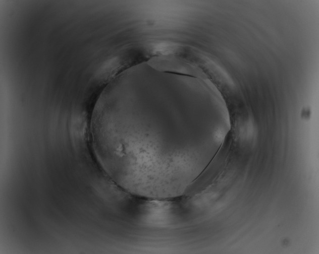 X0000102830328200809021319