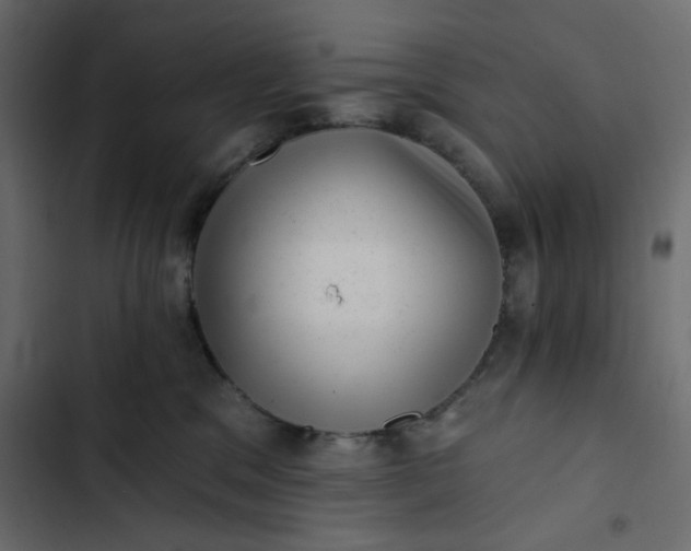 X0000102830329200809021319