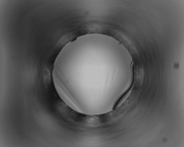 X0000102830333200809021319