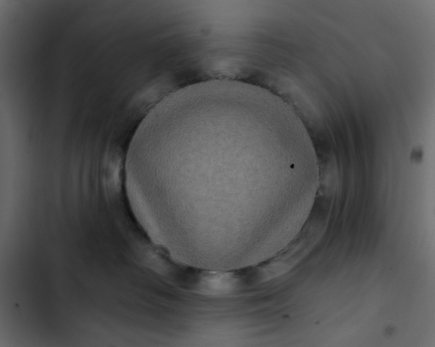 X0000102830334200809021319