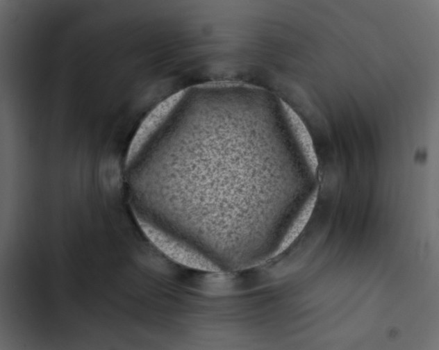 X0000102830335200809021319