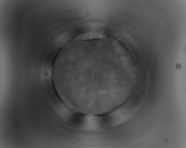 X0000102830336200809021319