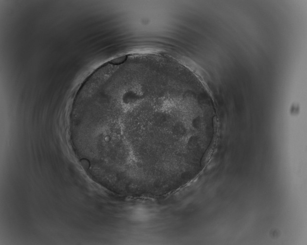 X0000102830337200809021318