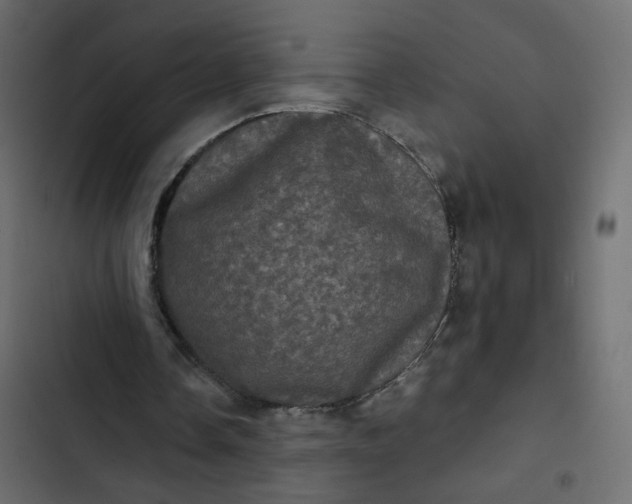 X0000102830338200809021318