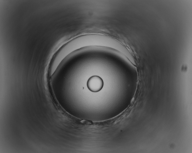 X0000102830340200809021318