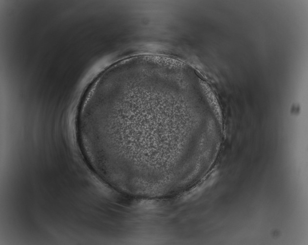 X0000102830341200809021318