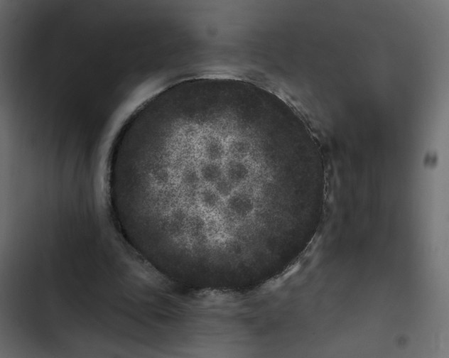 X0000102830343200809021318