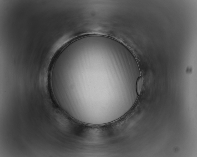 X0000102830344200809021318