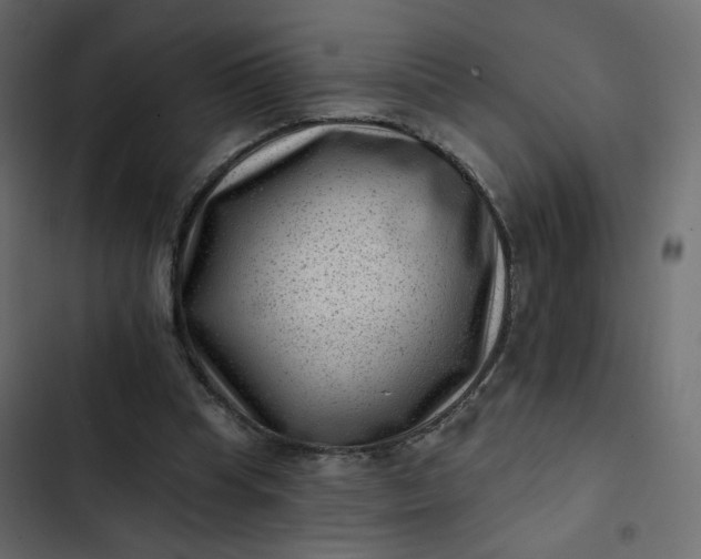 X0000102830345200809021318