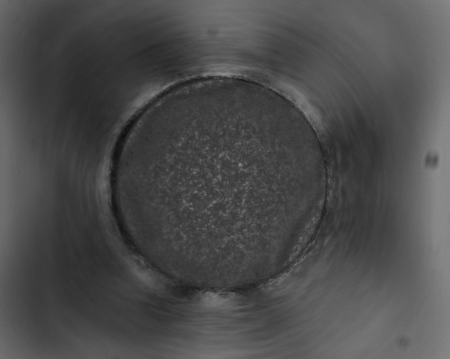 X0000102830346200809021318