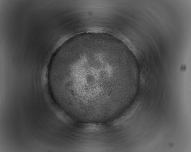 X0000102830347200809021318