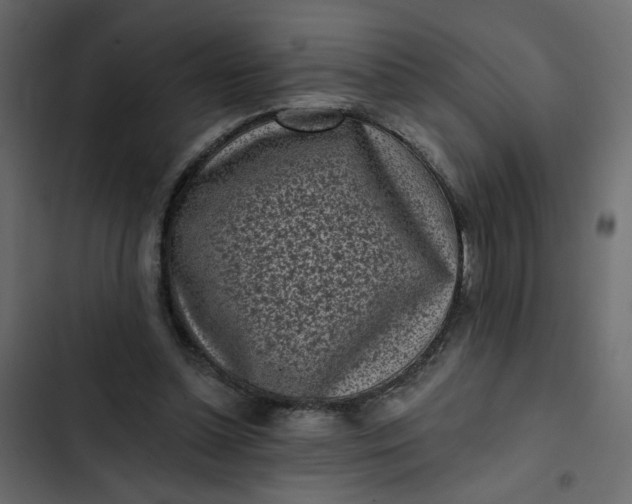 X0000102830348200809021318