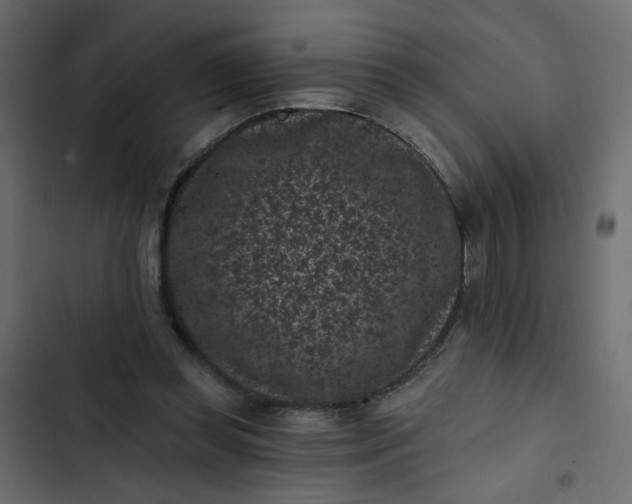 X0000102830349200809021318