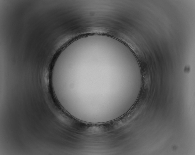 X0000102830350200809021319