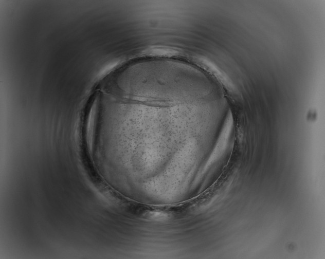 X0000102830352200809021319