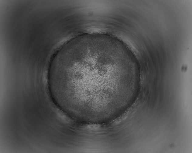 X0000102830353200809021319