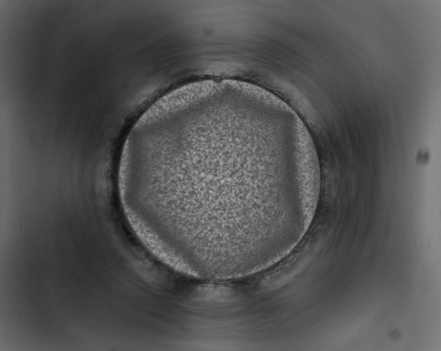 X0000102830354200809021319