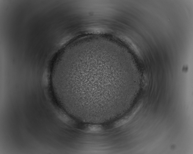 X0000102830355200809021319