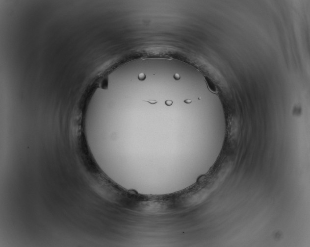 X0000102830356200809021319