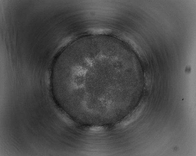 X0000102830357200809021319