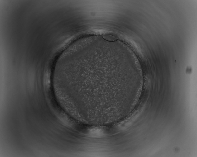 X0000102830358200809021319