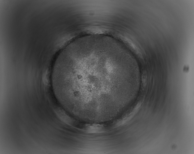 X0000102830359200809021319