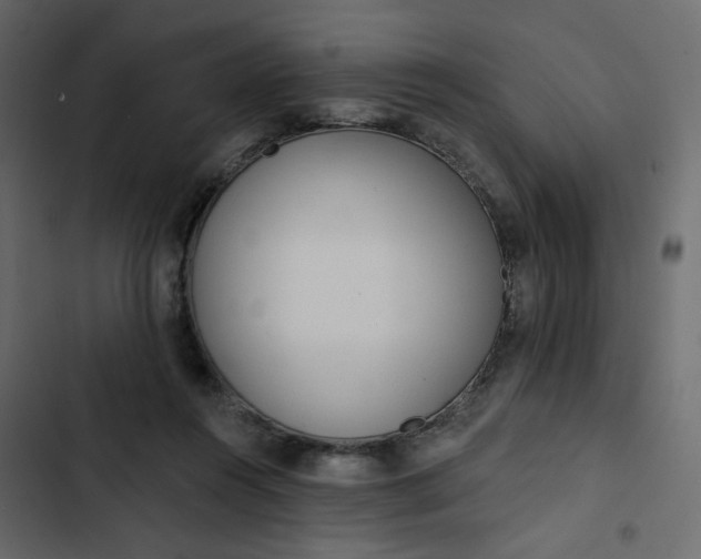 X0000102830360200809021319